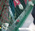 Plastic Coated Chain Link Fence